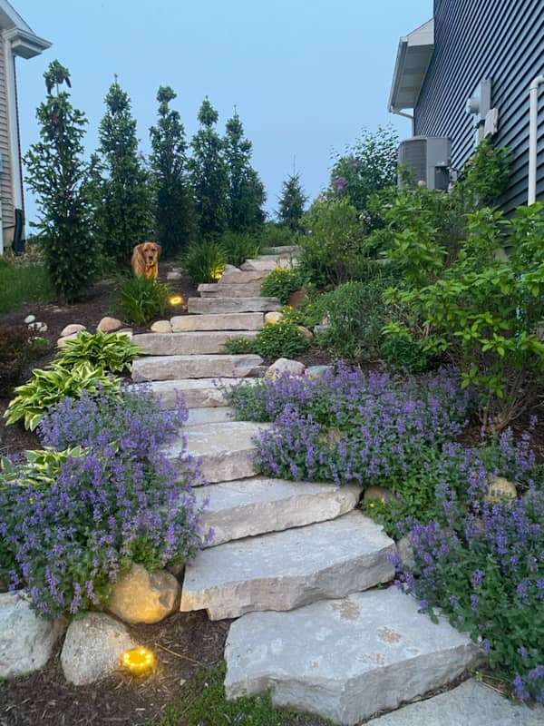 stone staircase with landscaping